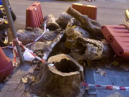 Napoli, al Vomero verde a rischio