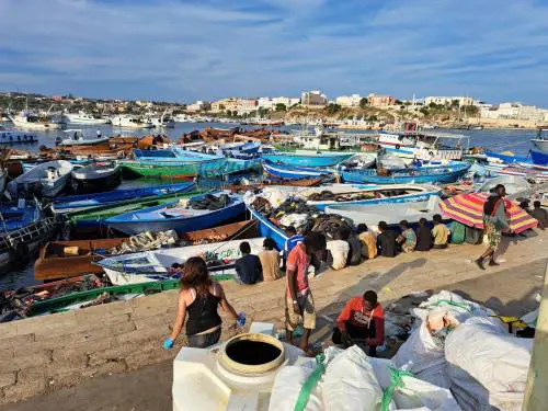 Migranti, la Germania fa marcia indietro: cosa cambia adesso