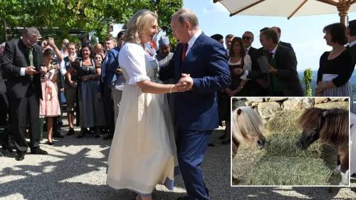 In viaggio con i pony dalla Siria: la nuova vita dell'ex ministro degli Esteri austriaco pro-Putin