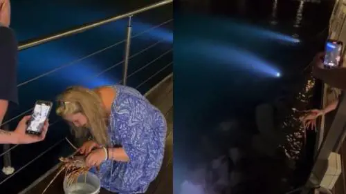 Turista compra aragosta da 200 euro al ristorante e la libera in mare