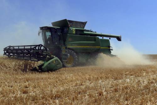 "Restrizioni sul grano ridicole, presto ritorsioni": Kiev denuncia il "blocco Est" 