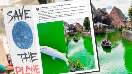 Gli attivisti green colorano il fiume: strage di pesci