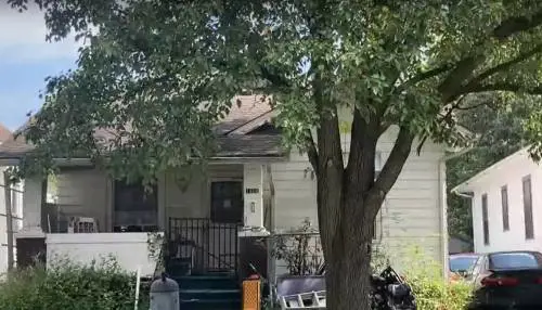 Choc negli Usa, neonato divorato dai topi: oltre 50 morsi sul corpo