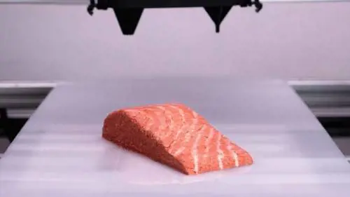 Un mix di funghi filamentosi: il salmone (vegano) stampato in 3D