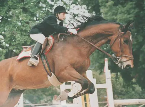 Messina Denaro, il fratello del piccolo Di Matteo: "Perdonarlo è impossibile"