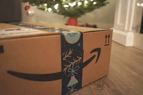 "Tre euro in più per la spedizione". La Francia dichiara guerra all'e-commerce per l'acquisto dei libri