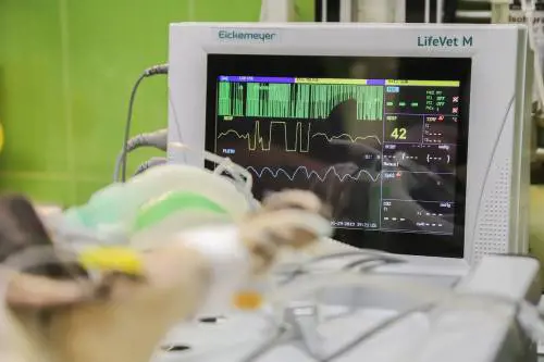Ospedali ai raggi X