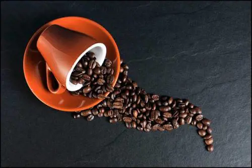 Giornata Internazionale del caffè, quali sono le migliori miscele italiane