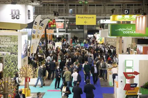 Fiera Milano e Ifema Madrid, allenza per lanciare Fruit Attraction in Brasile