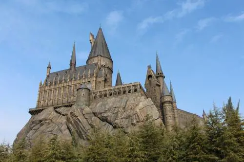Professione Harry Potter. Arriva la prima laurea in magia: come funziona