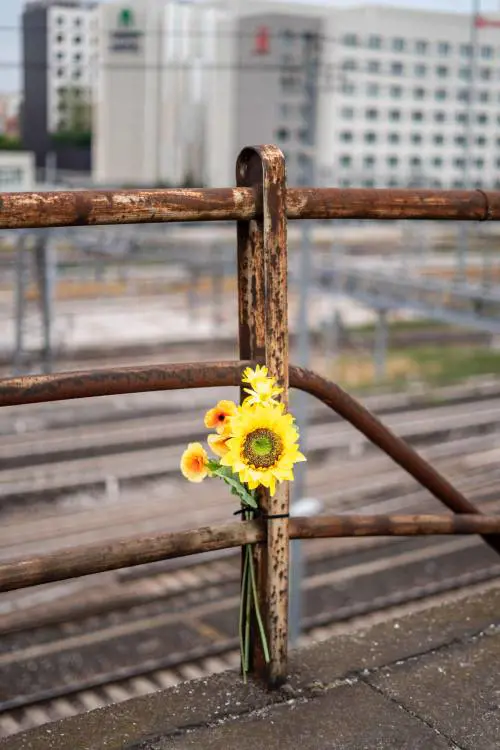 Non accusate il guardrail, Giannini silurato e Ciccio Bomber: quindi, oggi...