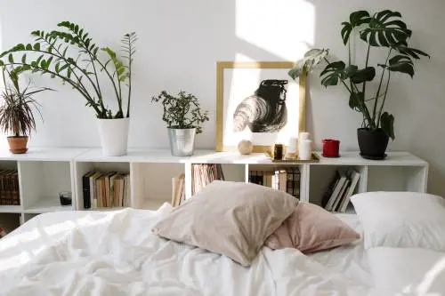 Piante in camera da letto, fanno male? Ecco le tipologie che si possono tenere