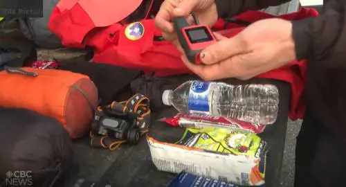 "Ci sta attaccando". L'ultimo disperato messaggio di una coppia sbranata da un orso