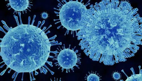 Norovirus, cos'è il virus che ha colpito 130 studenti in gita