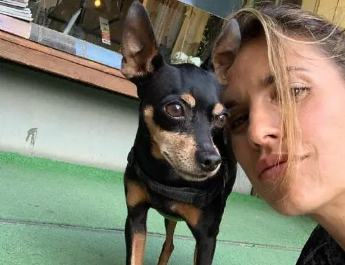 "Ciao Mia, piccola grande guerriera". Il triste annuncio di Elisabetta Canalis
