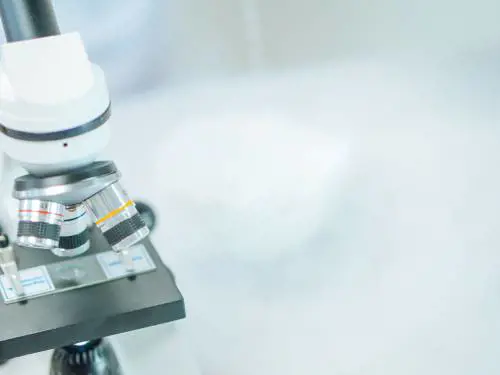 Anticipare le epidemie cercando i virus nelle acque reflue: lo studio italiano