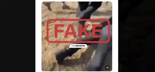 Fake news, social e propaganda: come funziona la guerra digitale di Hamas