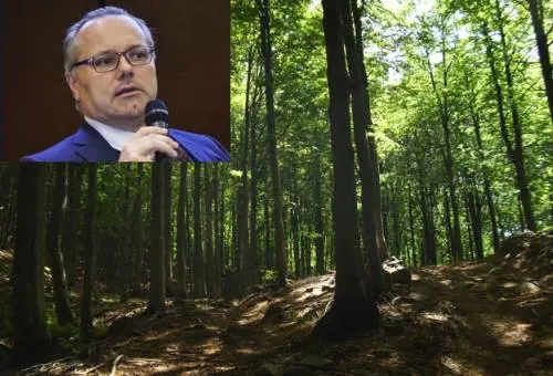Federlegno: valorizzare l'utilizzo a cascata del legno