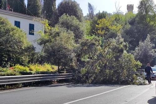 Maltempo in Toscana, tracima il torrente Bagnolo: 170 evacuati a Prato