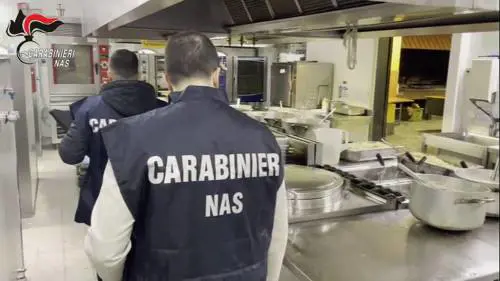 I controlli del Nas nelle mense scolastiche: topi, blatte, cibi non tracciati. I dati choc