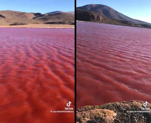 Il Nilo si tinge di rosso: profezia apocalittica o fenomeno naturale? Cosa sta accadendo