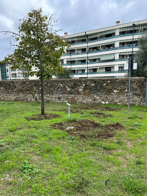 Il giardino intitolato a Norma Cossetto devastato dai cinghiali