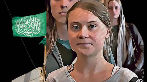 Il declino di Greta, scaricata dai suoi adepti