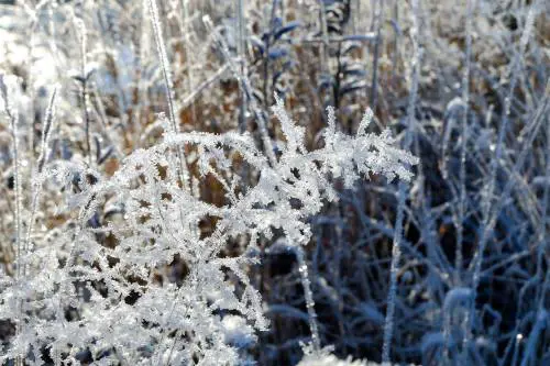 Assaggio invernale sull’Italia: cosa aspettarsi dal meteo nel week-end