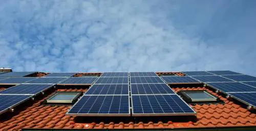 Morire di "green economy". Costi, burocrazia e tempi: con la transizione a rischio 5 milioni di posti di lavoro