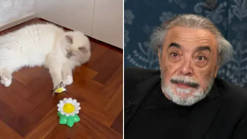 Stangata su Nino Frassica: denunciato per stalking dai vicini