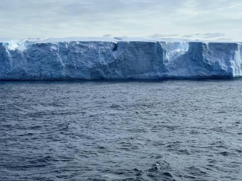 Torna a muoversi l'iceberg più grande al mondo: perché non è una buona notizia