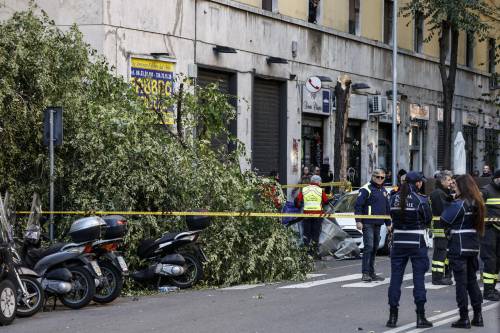 Travolta da un albero mentre passeggiava. 82enne muore a Roma. I residenti: "Potatura? Un miraggio"
