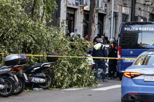 Sos ignorati: albero uccide una donna