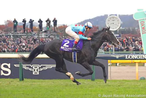 Equinox (fonte: jra - Japan racing association)