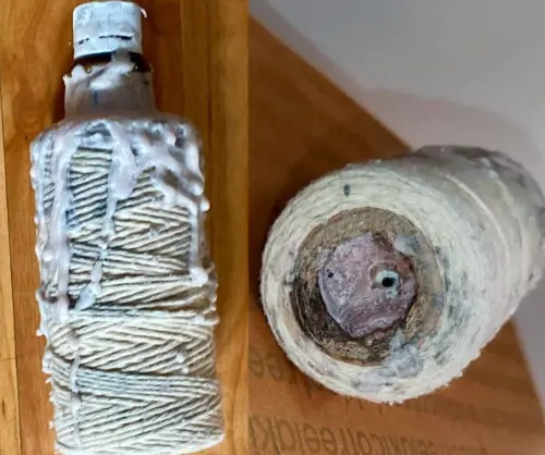 Assalto ai Pro Vita, vergogna negazionista sui social: "Molotov fantasma..."