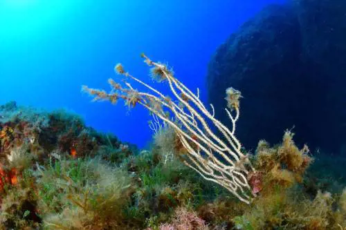 Il Mediterraneo è inclinato: più profondo in Africa