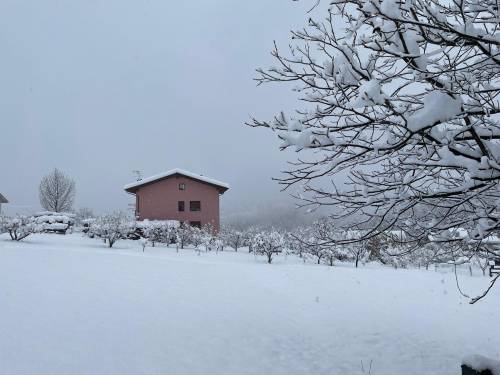 Preparatevi alla neve: lunedì arriva "big snow" (anche in pianura)