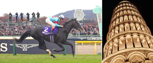 Il cavallo più forte al mondo cambia mestiere: dalla pista alla stalla