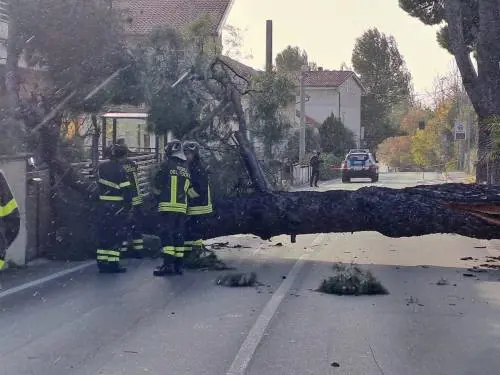 Raffiche di vento oltre 220 km/h, fiumi in piena e bufera di neve: è allerta maltempo