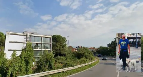 Monza, investito da un'auto pirata e abbandonato: così il suo labrador lo salva