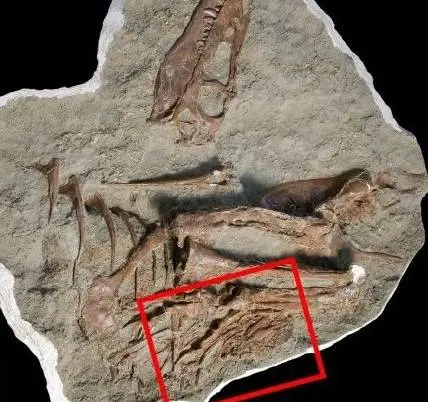 Così l'ultima cena del tirannosauro spiega l'evoluzione