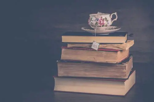 Un libro sotto l'albero? Ecco cosa regalare a Natale
