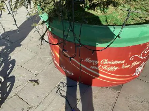 Uno degli abeti vandalizzati