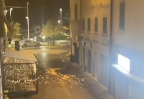 Le decorazioni natalizie distrutte dal venticinquenne straniero