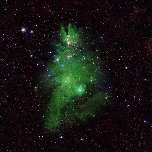 "Grappolo di alberi di Natale". Quell’immagine della Nasa che viene dallo Spazio