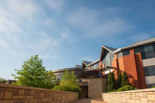 "Licenziata perché bianca". Il razzismo al contrario nel Wisconsin