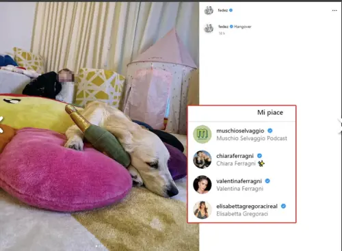 I "Mi Piace" di Chiara Ferragni sui social