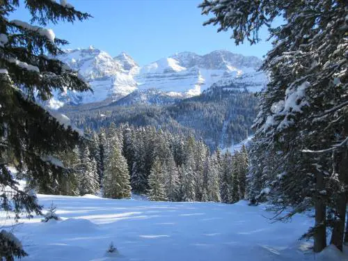 "Inverni caldi, la montagna cambia. Vanno offerte alternative alla discesa"