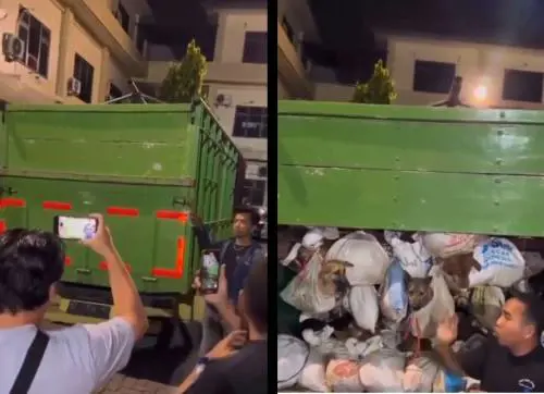 Oltre 200 cani insacchettati vivi e pronti per il macello: choc in Indonesia