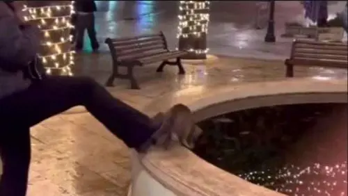 Ragazzina annega un gatto nella fontana: "Amò, un po' di notorietà"   